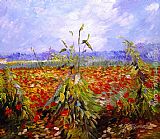 Vincent van Gogh - A Field With Poppies painting